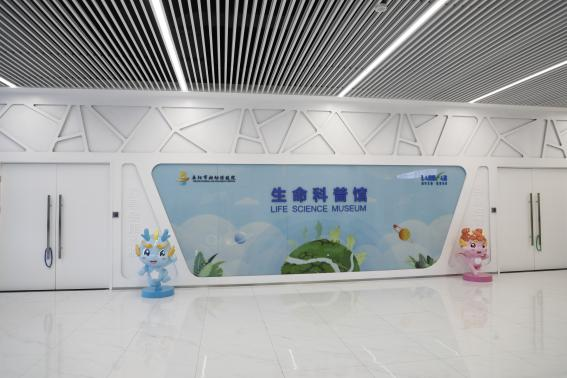 图片 10